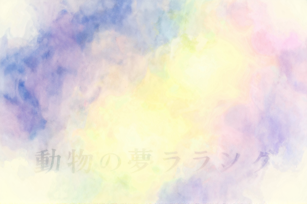 詳細イメージ