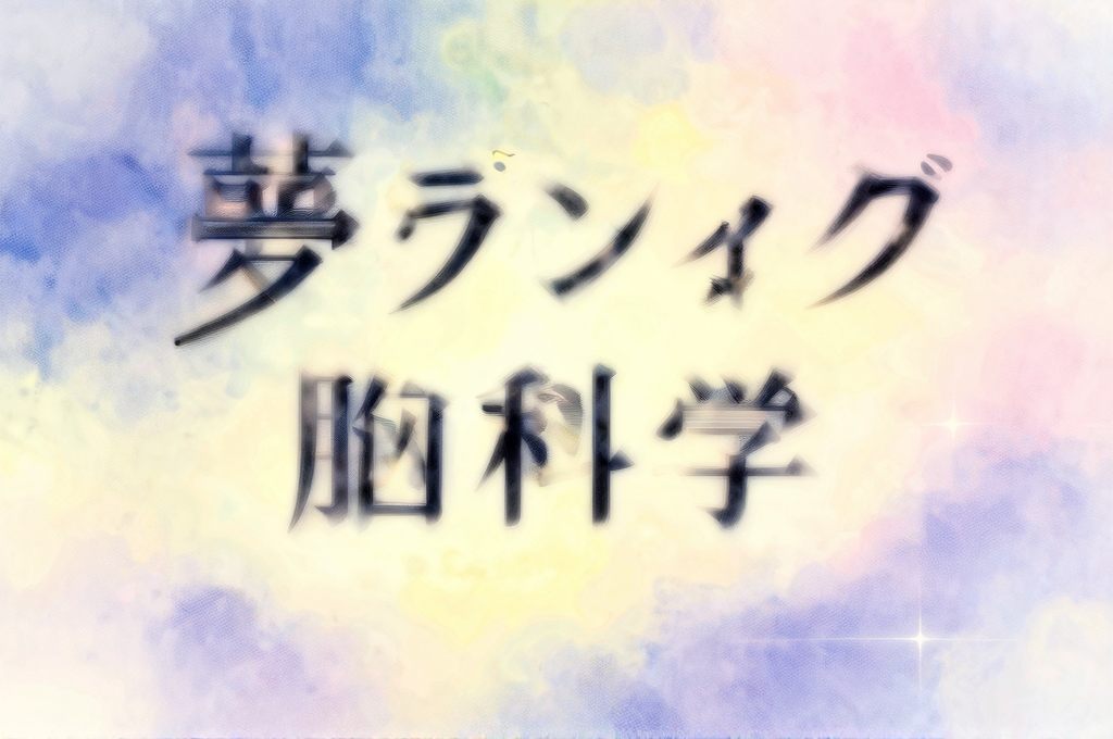 詳細イメージ